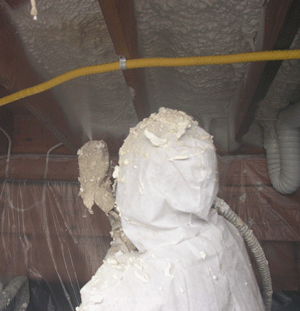 Hollywood CA crawl space insulation