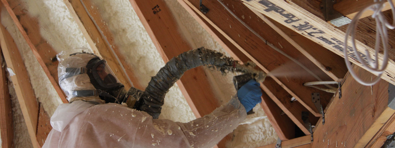 Hollywood California Attic Insulation Spray Foam